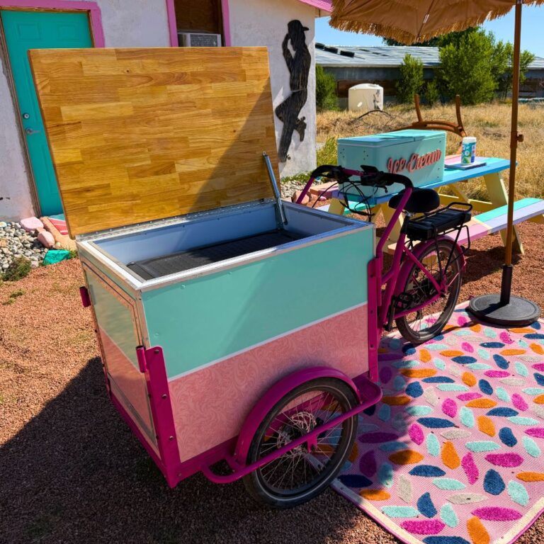 ICE CREAM BIKE LADY IMAGES (17)