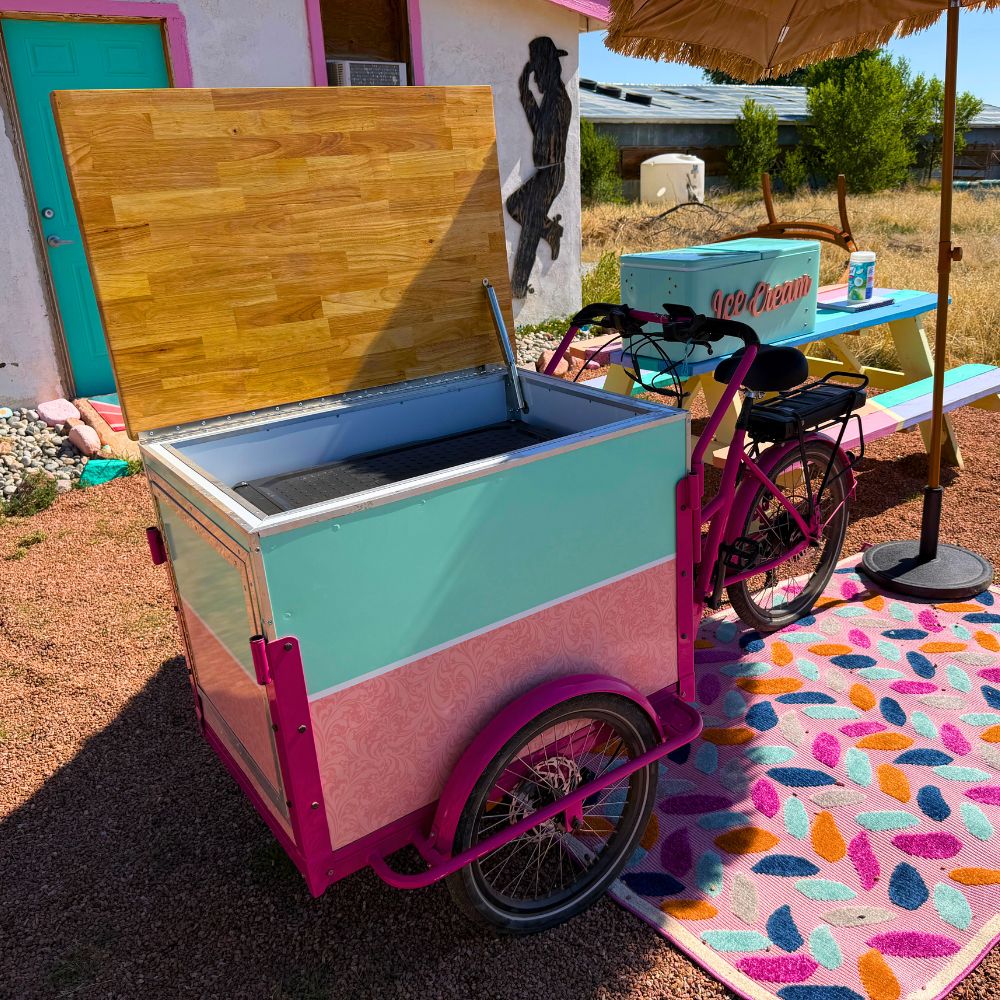 ICE CREAM BIKE LADY IMAGES (17)