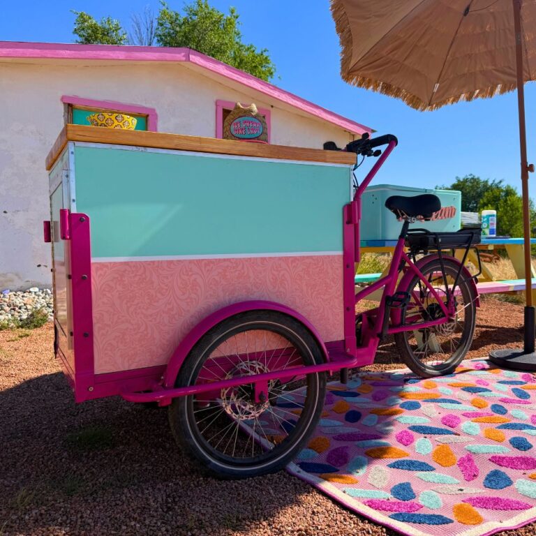 ICE CREAM BIKE LADY IMAGES (18)