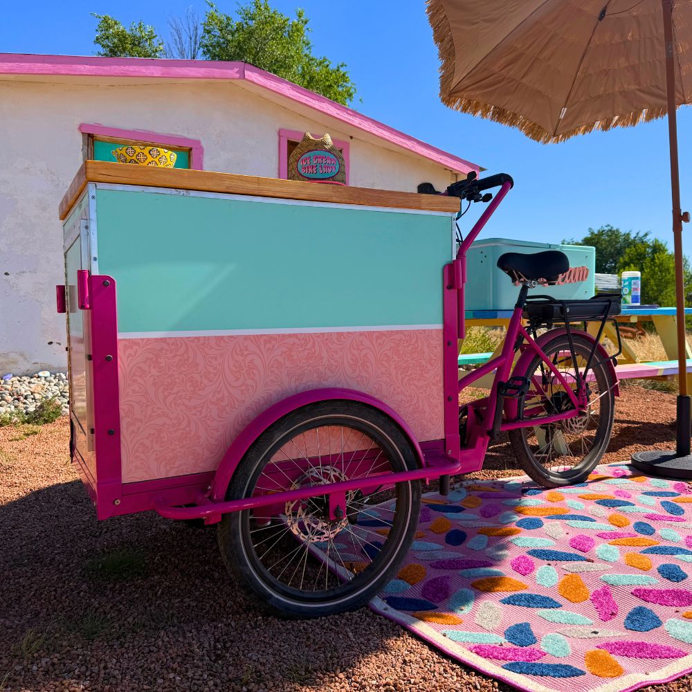 ICE CREAM BIKE LADY IMAGES (18)