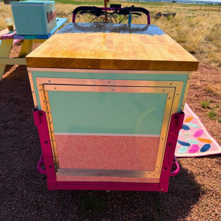 ICE CREAM BIKE LADY IMAGES (19)
